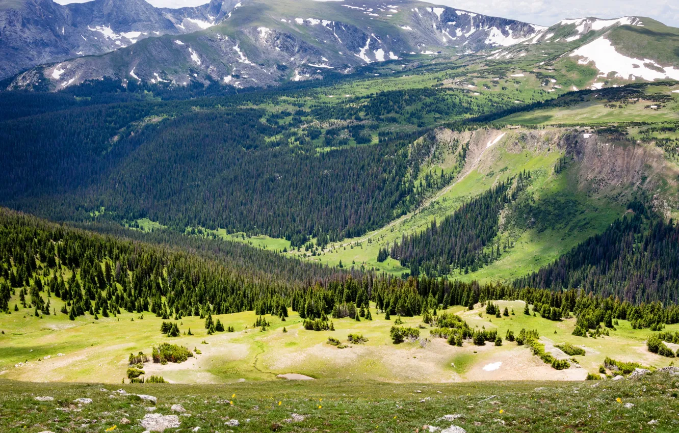 Photo wallpaper forest, grass, trees, mountains, stones, valley, slope, Colorado