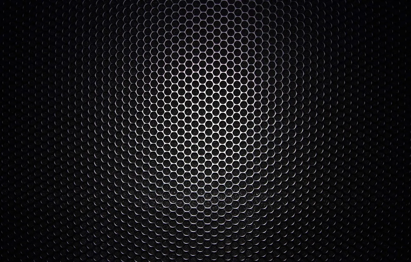 Photo wallpaper macro, black, texture, speaker