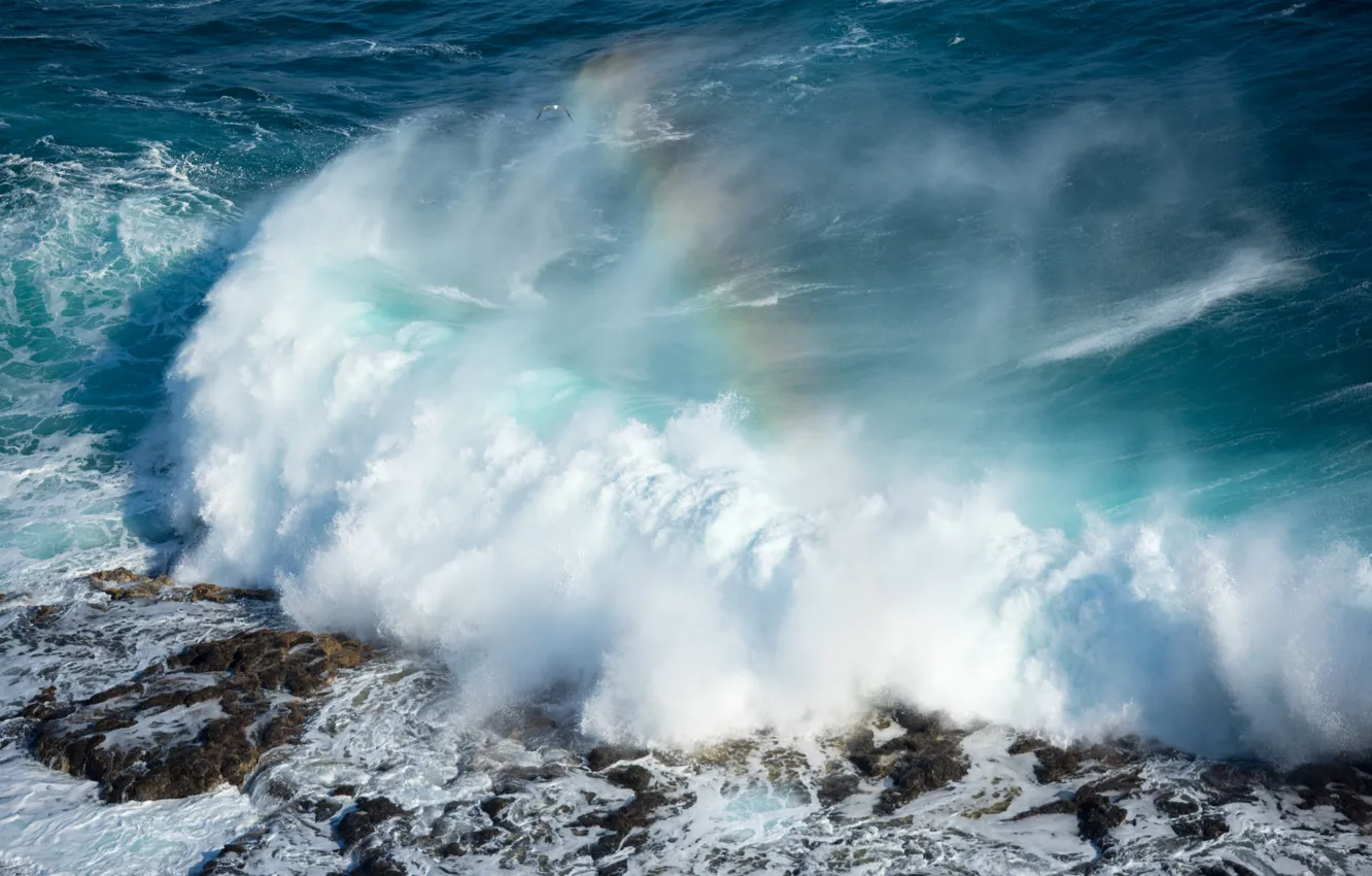 Photo wallpaper wave, squirt, rainbow