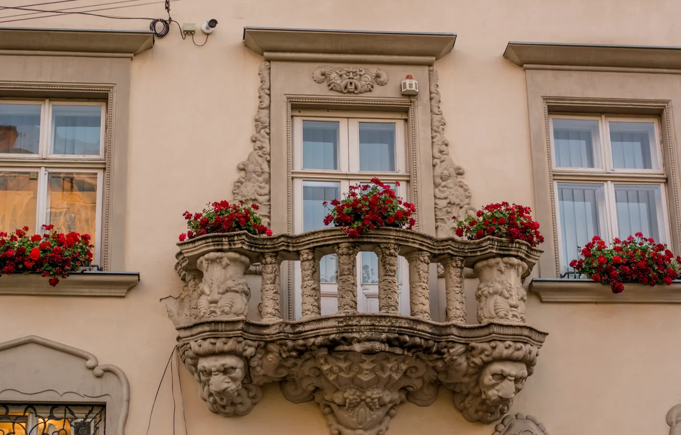 Photo wallpaper Windows, balcony, Architecture, lions, Ukraine, Ukraine, Lions, Lions