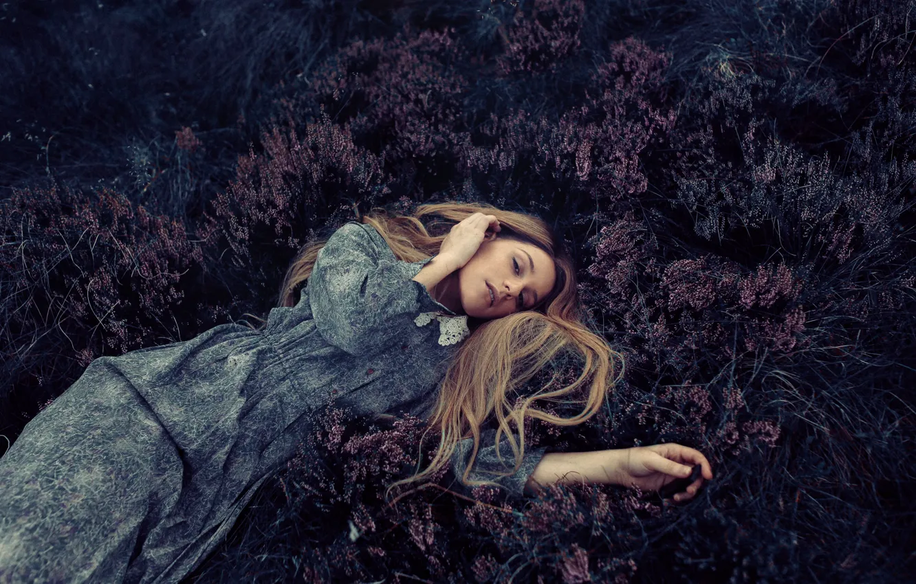 Photo wallpaper look, girl, flowers, nature, pose, glade, lies, brown hair