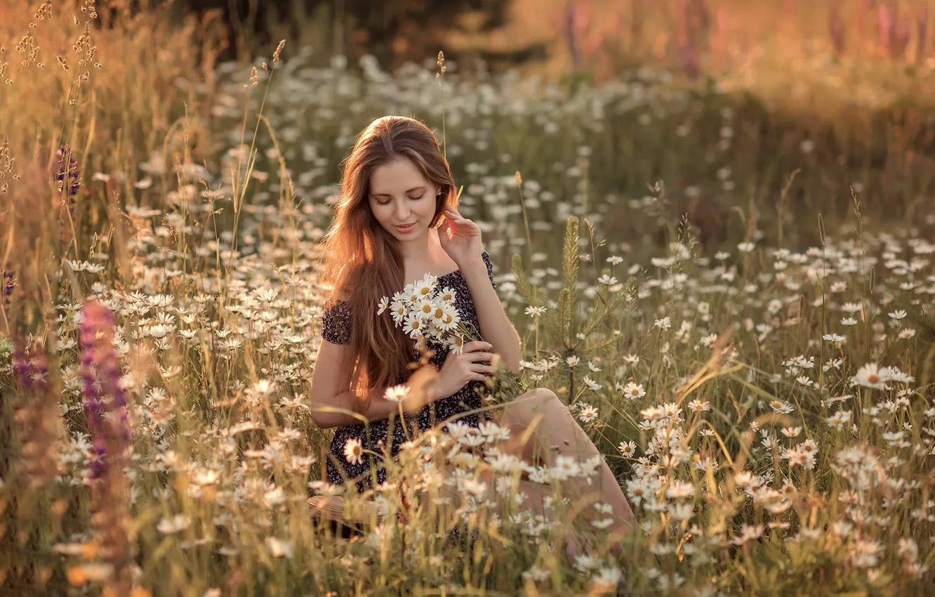 Photo wallpaper field, summer, girl, flowers, nature, chamomile, dress, brown hair