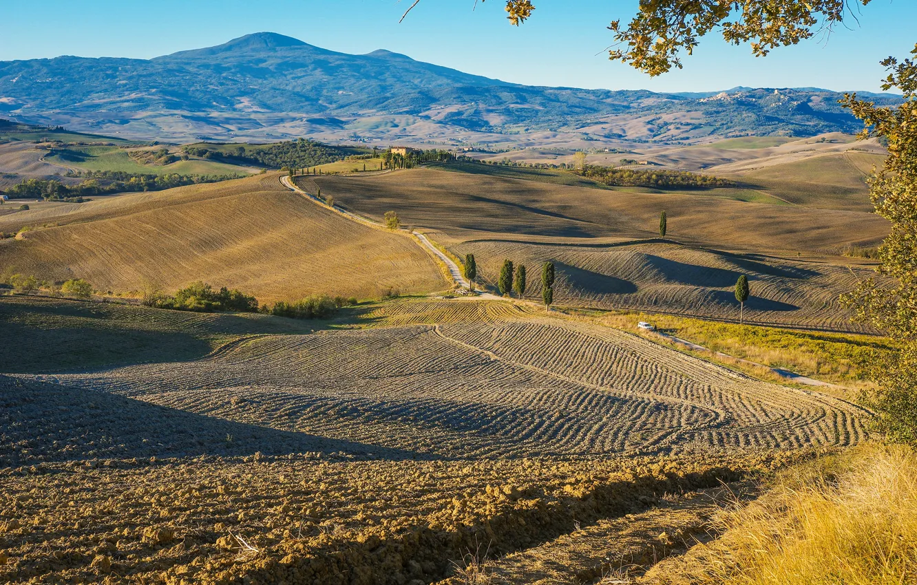 Photo wallpaper field, the sun, Italy, plantation, Tuscany