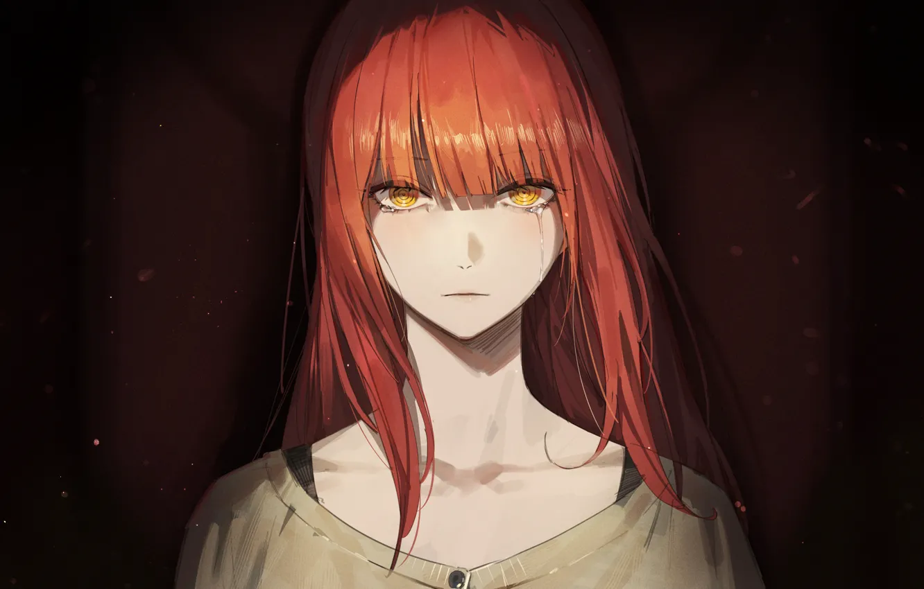 Photo wallpaper girl, tears, Chainsaw Man, Makima