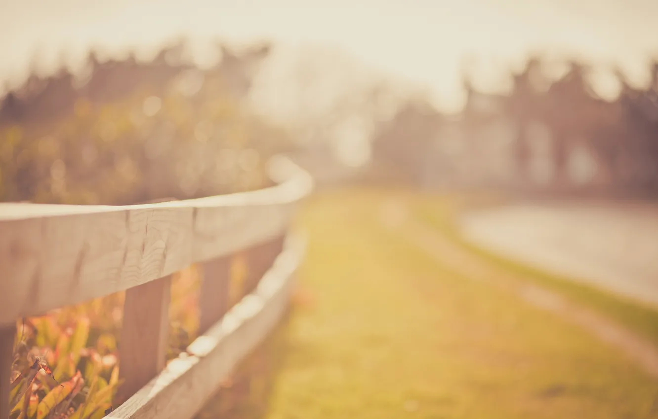 Photo wallpaper macro, glare, the fence