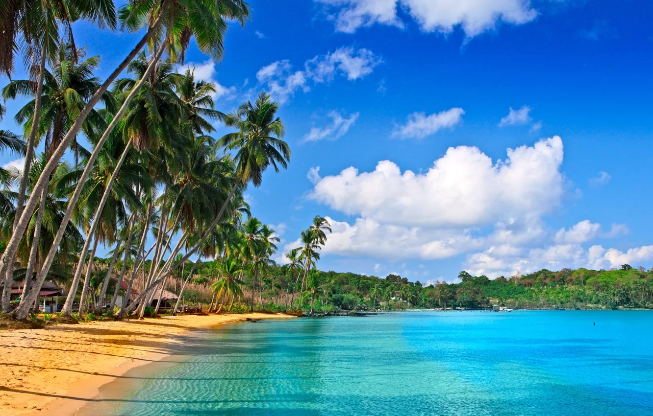 Photo wallpaper sand, sea, beach, clouds, palm trees, home