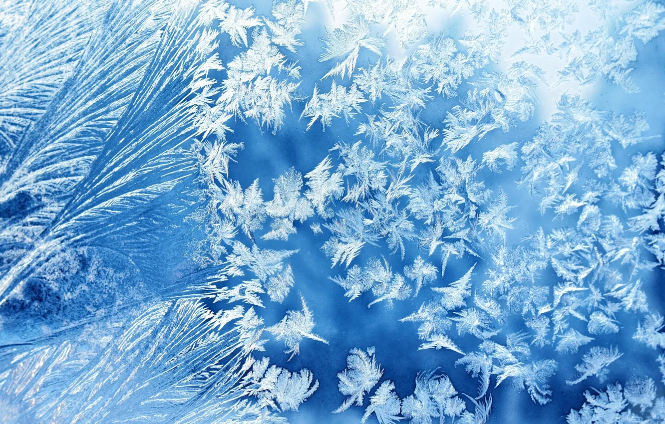 Photo wallpaper winter, glass, pattern, frost