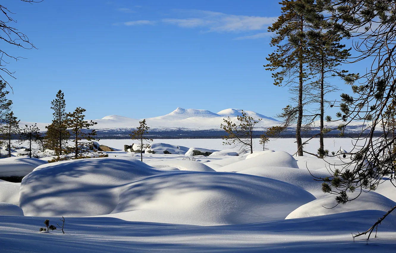 Photo wallpaper winter, snow, Norway, Norway, Femund