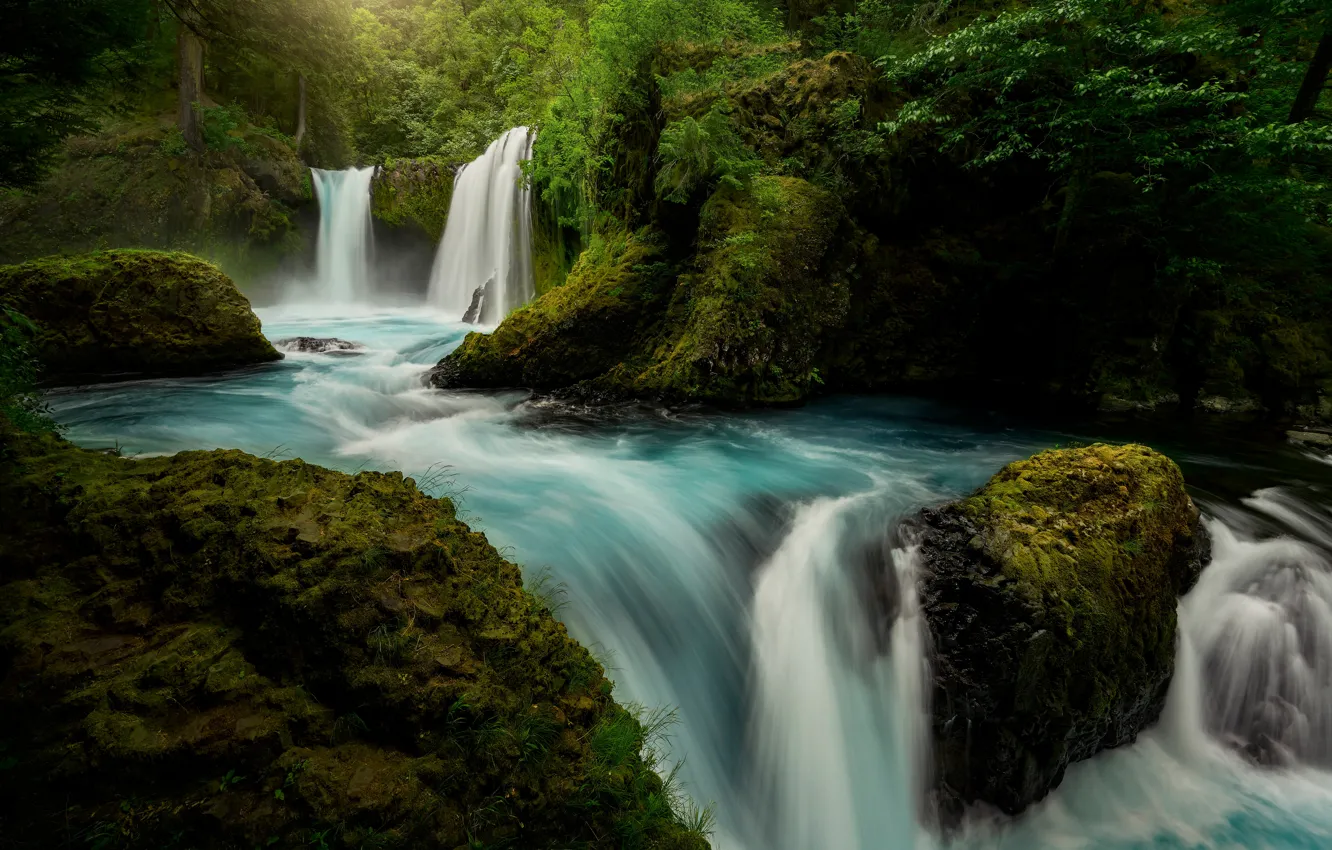 Photo wallpaper forest, river, waterfall, moss, Washington, Columbia River Gorge, Washington State, the Columbia river gorge
