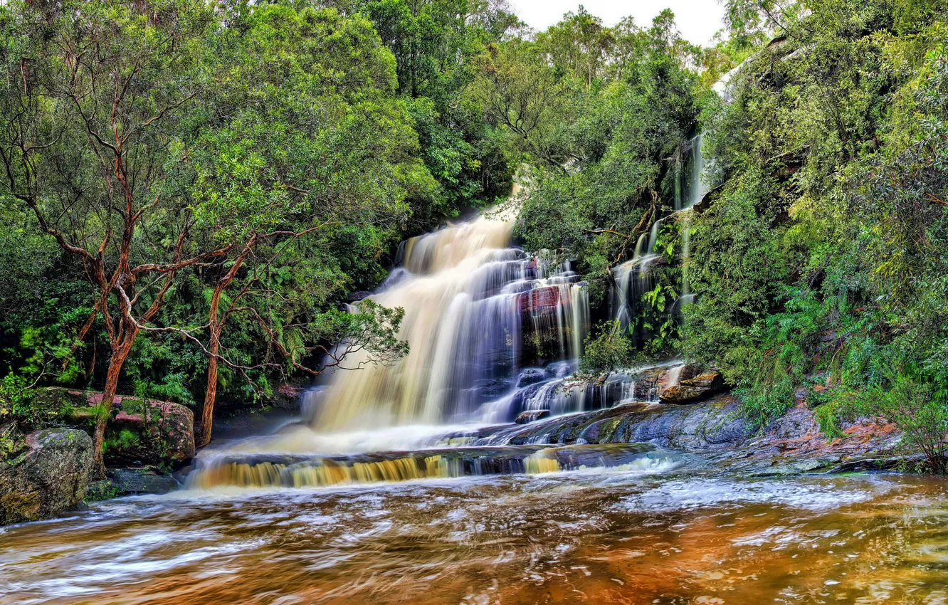 Photo wallpaper greens, forest, trees, stones, waterfall, stream, river, cascade