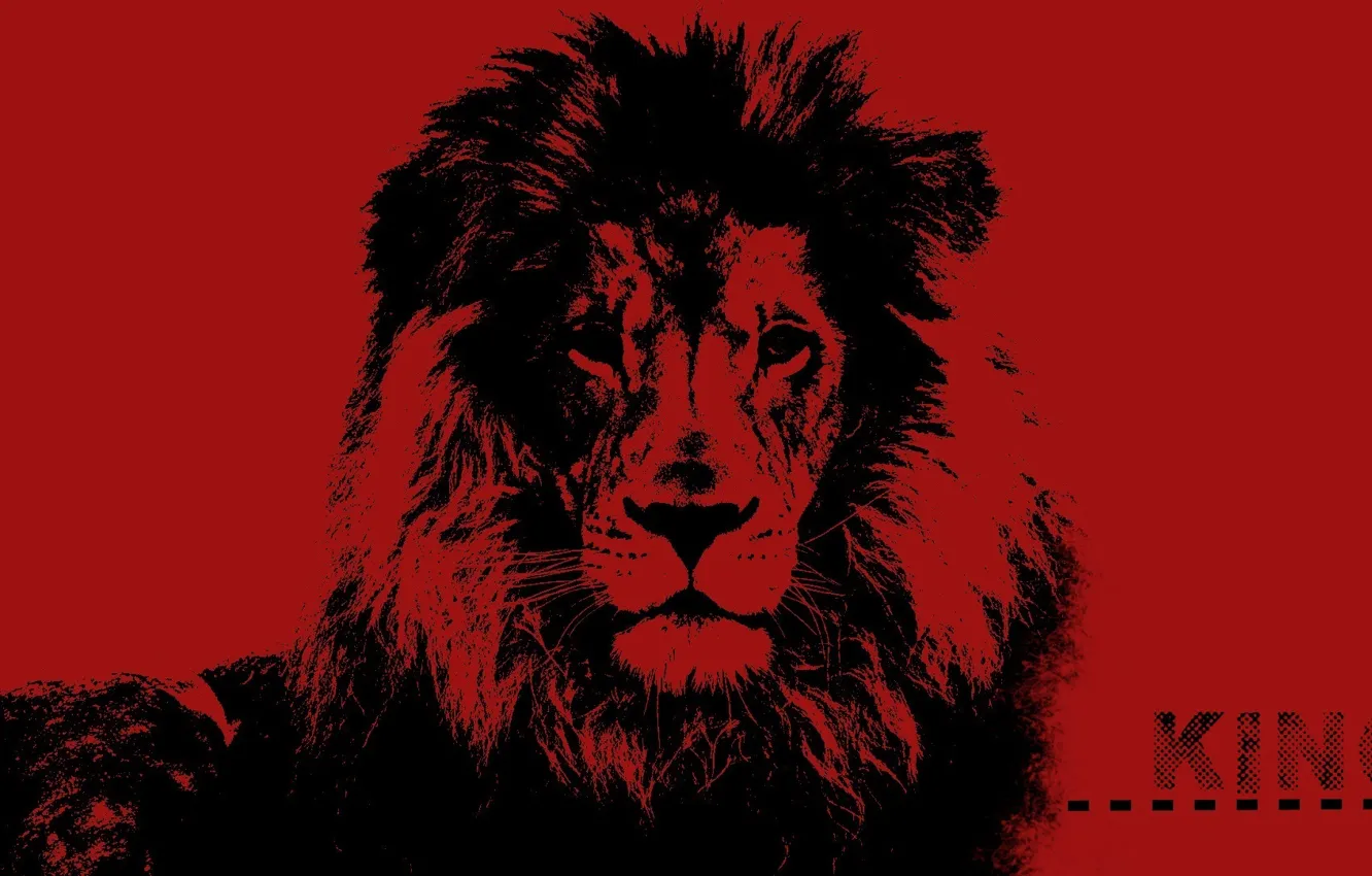 Photo wallpaper desktop, red, fantasy, black, art, lion, pop art, King
