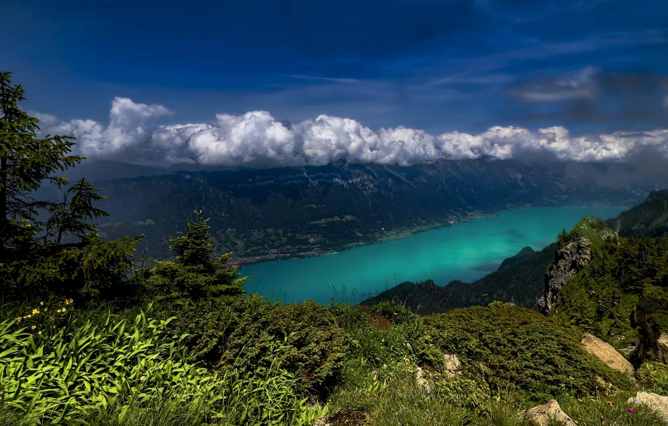 Photo wallpaper clouds, mountains, lake, Switzerland, Switzerland, Lake Brienz, Bernese Alps, The Bernese Alps