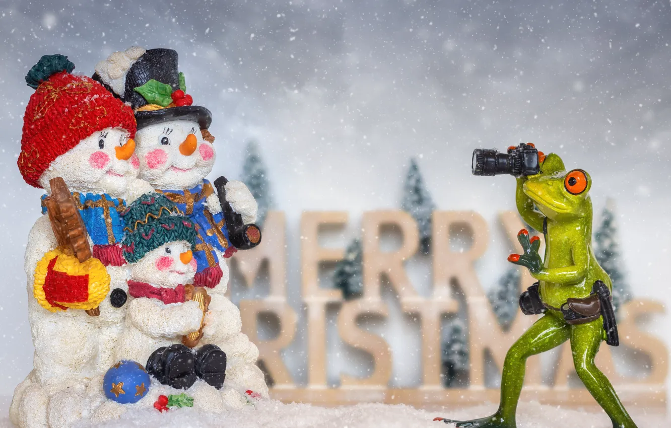 Photo wallpaper snow, frog, Christmas, photographer, New year, snowmen