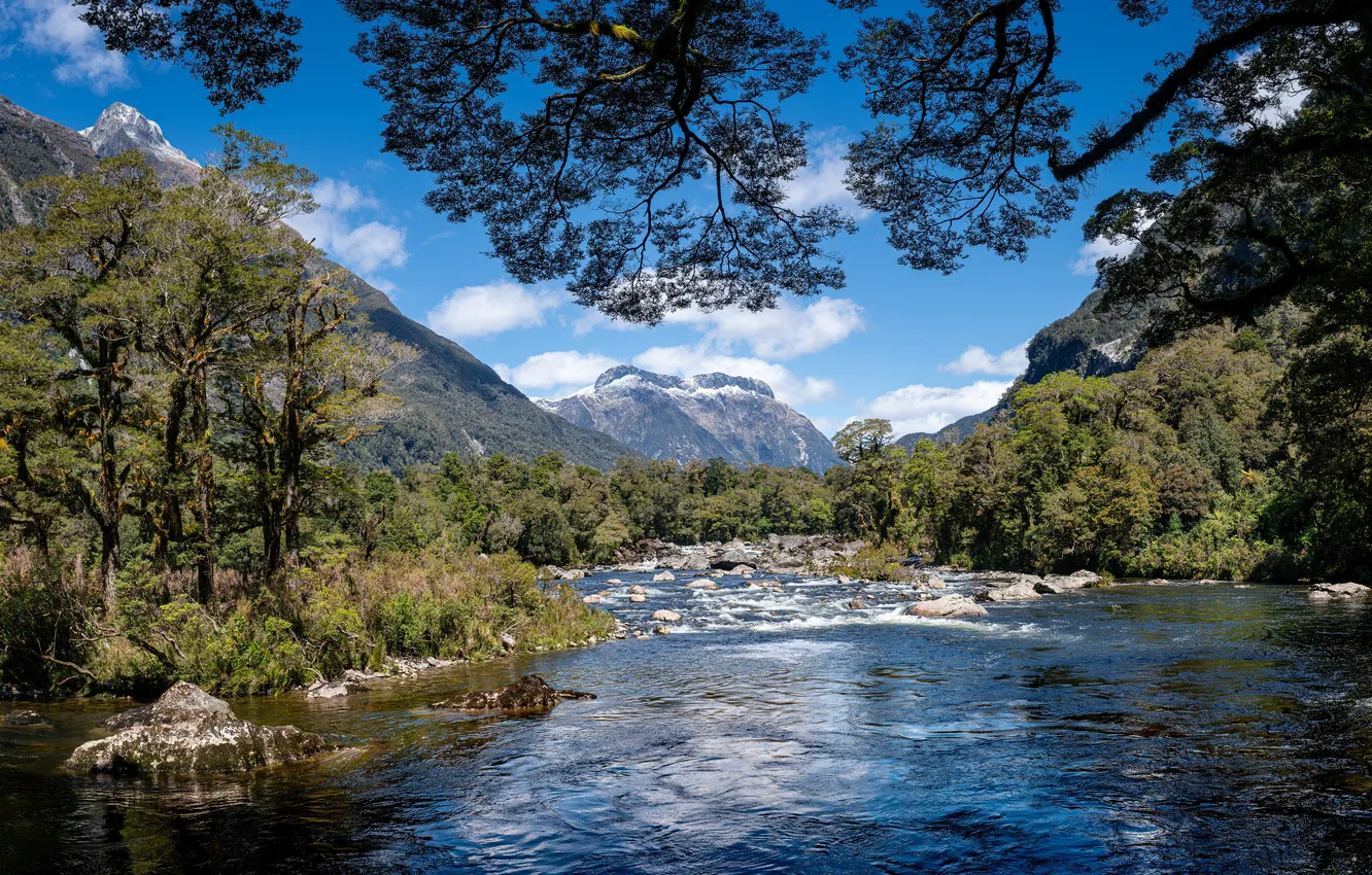 Photo wallpaper trees, mountains, river, stones