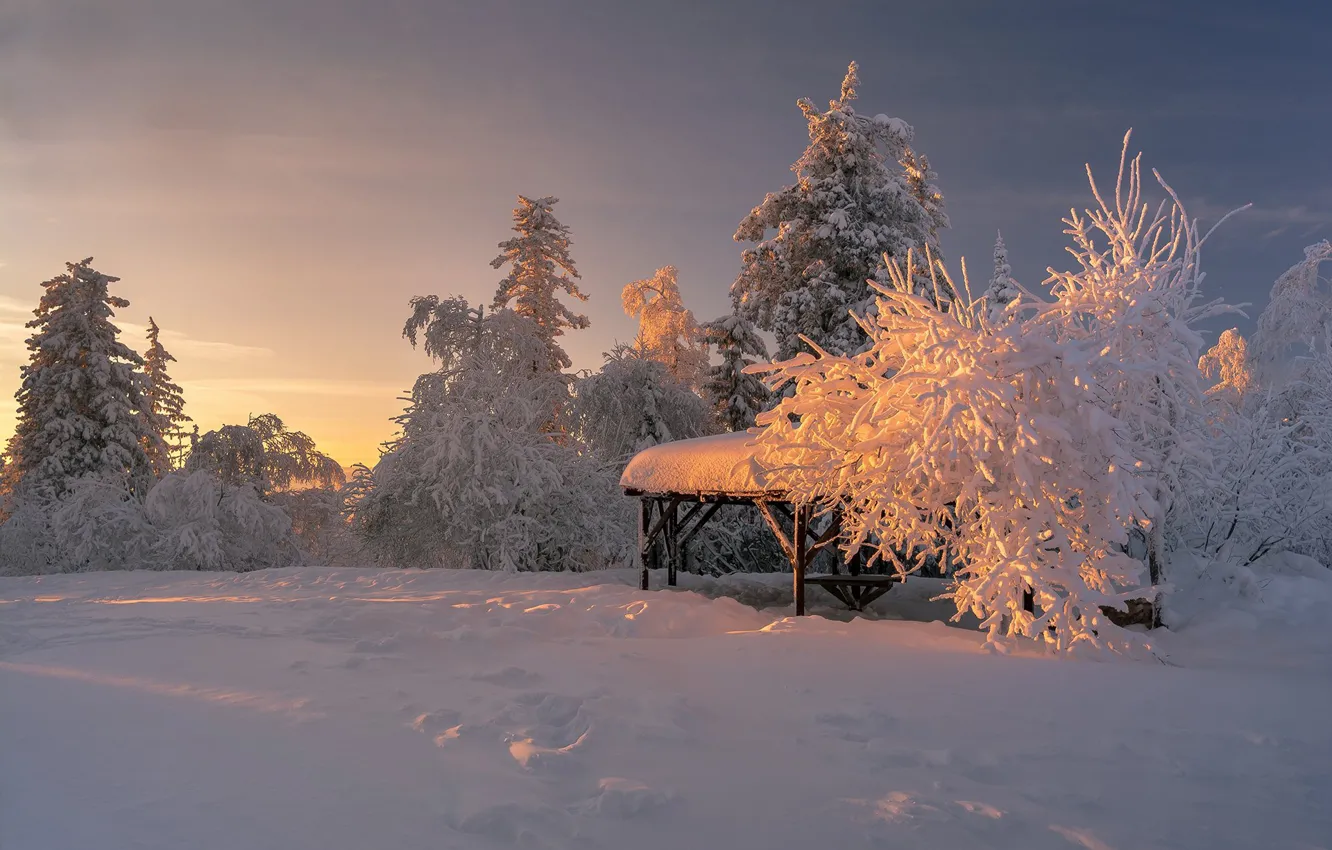 Photo wallpaper winter, snow, trees, landscape, sunset, nature, gazebo, Andrey Sharapov