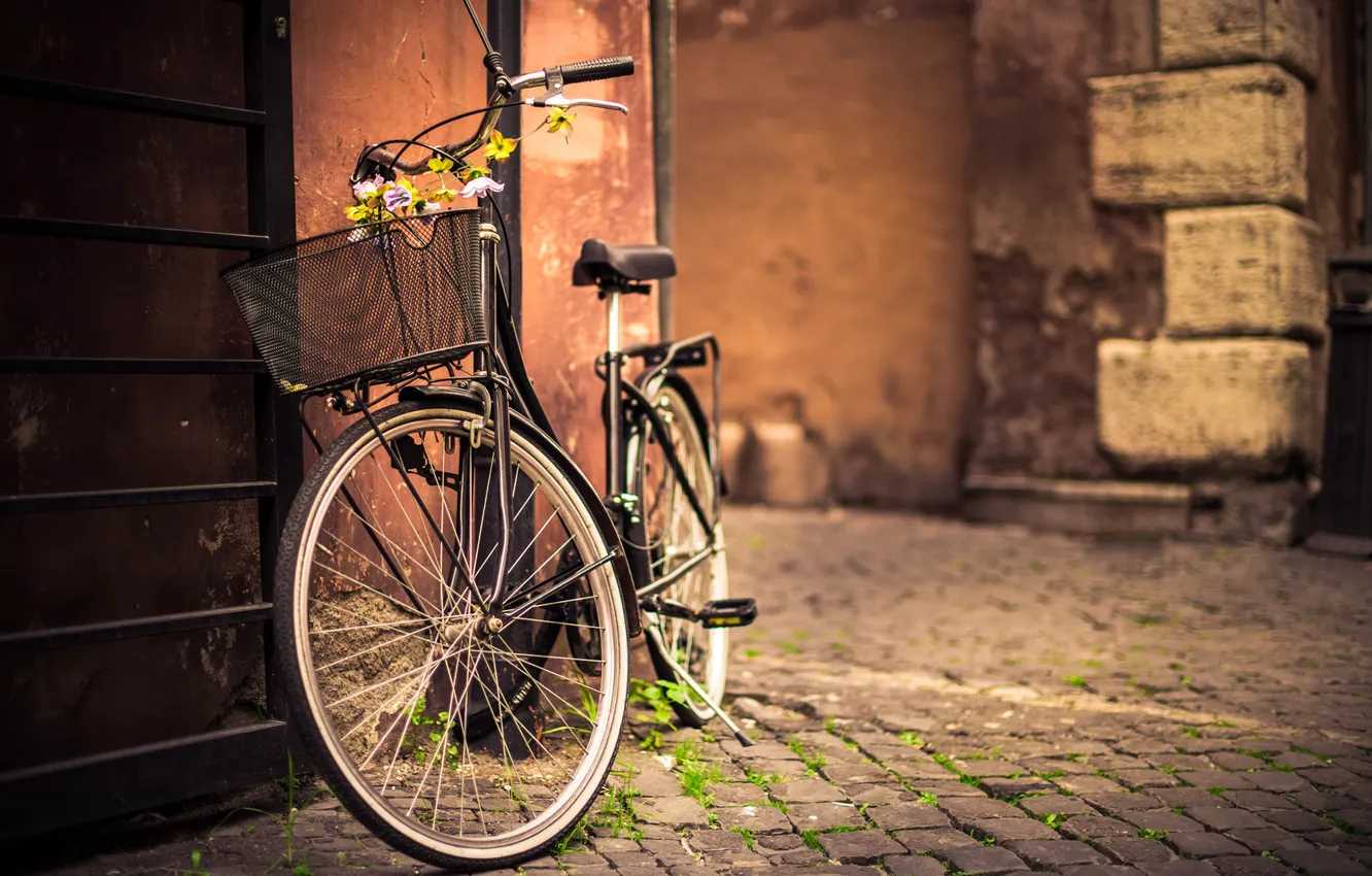 Photo wallpaper road, flowers, bike, wall, basket, pavers