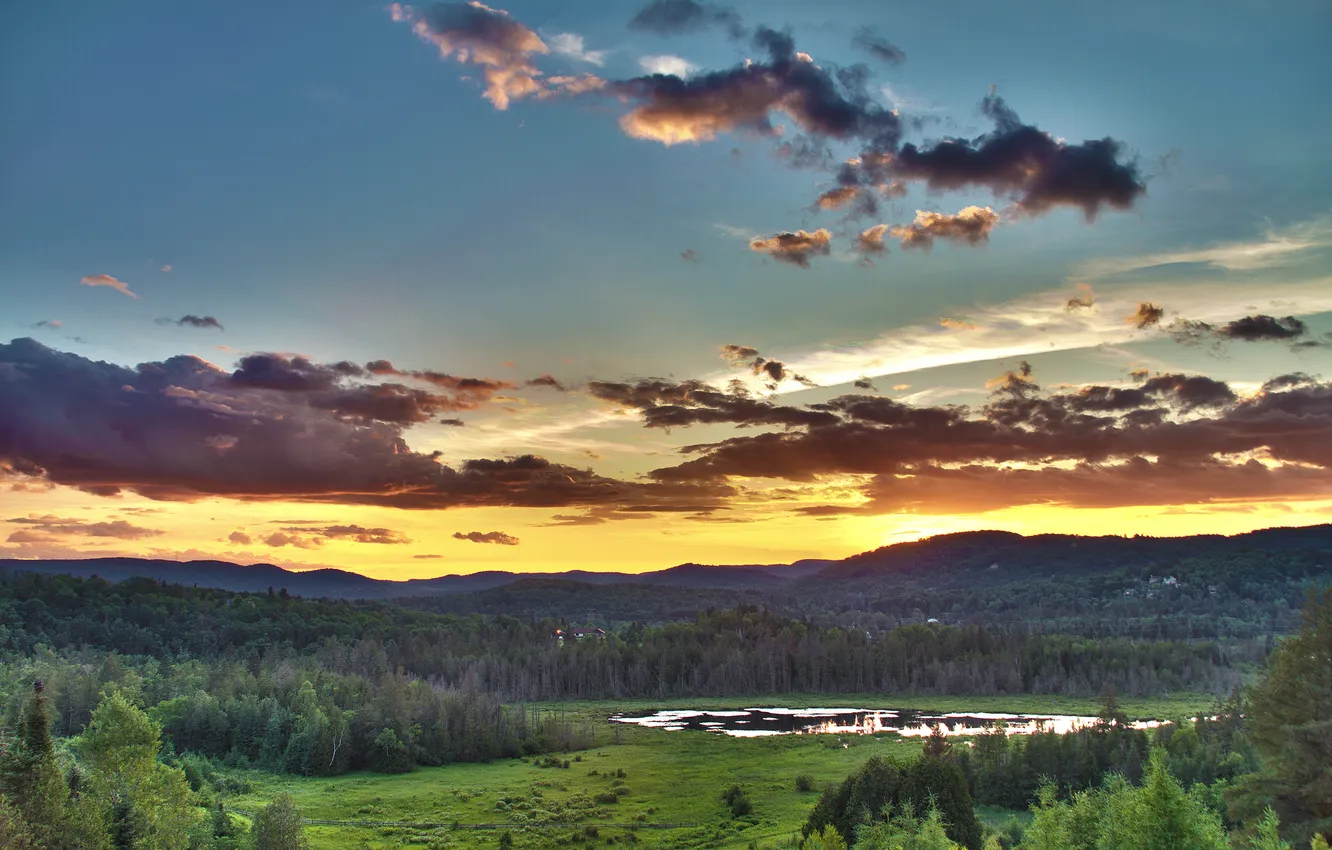 Photo wallpaper forest, summer, the sky, the sun, clouds, trees, landscape, sunset