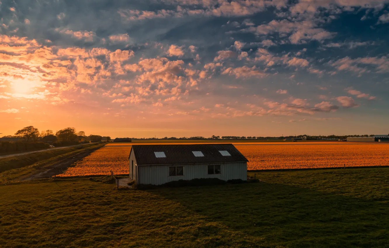 Photo wallpaper field, the sky, clouds, dawn, home, dal, farm