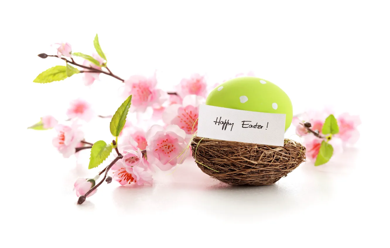 Photo wallpaper flowers, eggs, spring, Easter, pastel, happy, pink, blossom