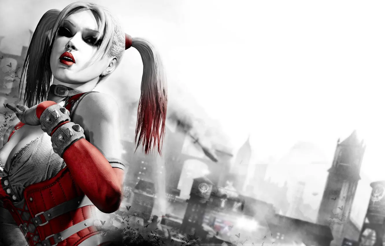 Photo wallpaper batman, arkham city, harley quinn, Harley Quinn