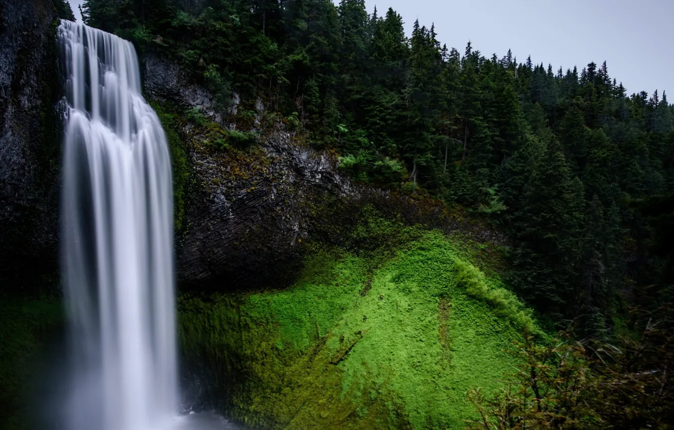 Photo wallpaper forest, nature, waterfall