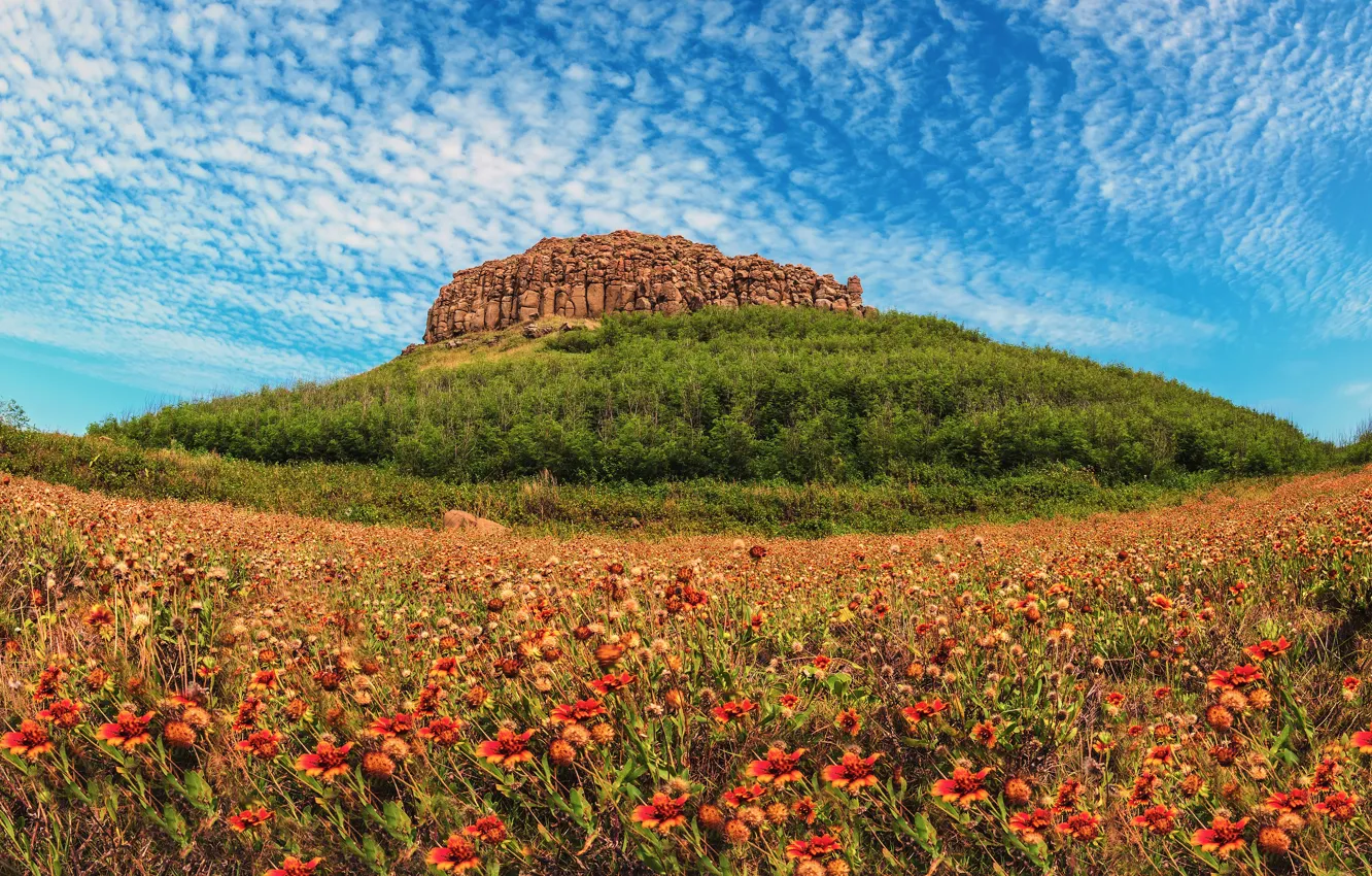 Photo wallpaper field, the sky, clouds, flowers, stones, hills, meadow, Thailand