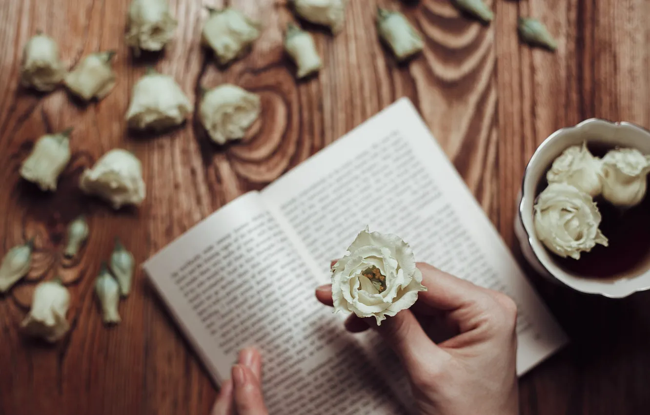 Photo wallpaper flowers, text, tea, roses, hands, Cup, book