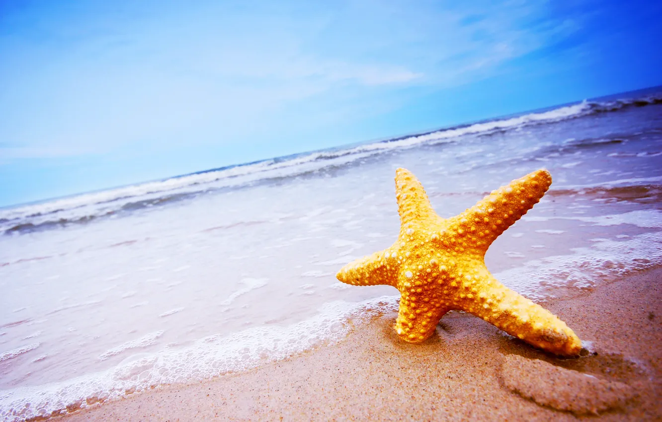 Photo wallpaper sand, sea, beach, star, summer, beach, sea, sand