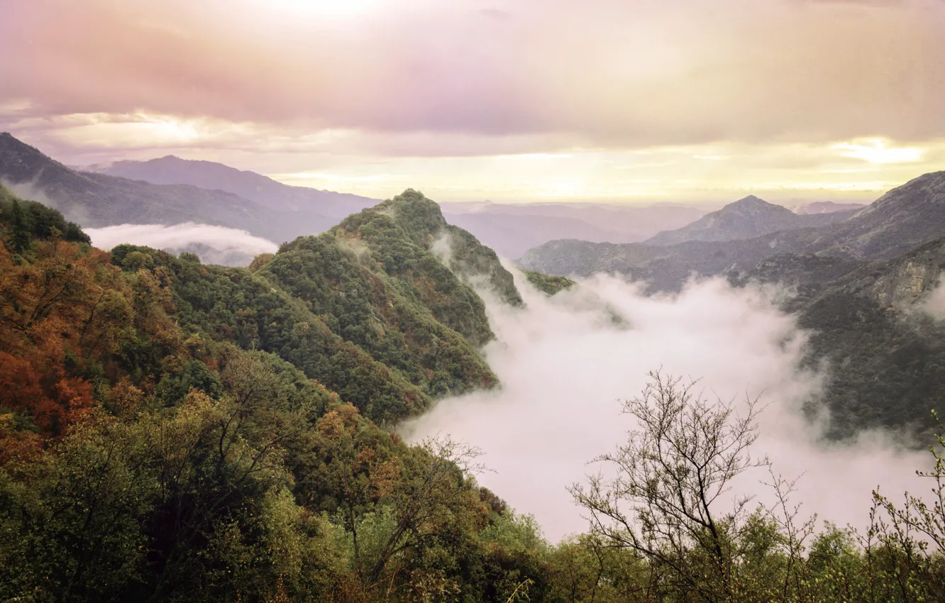 Photo wallpaper autumn, mountains, CA, panorama, USA, USA, nature, panorama