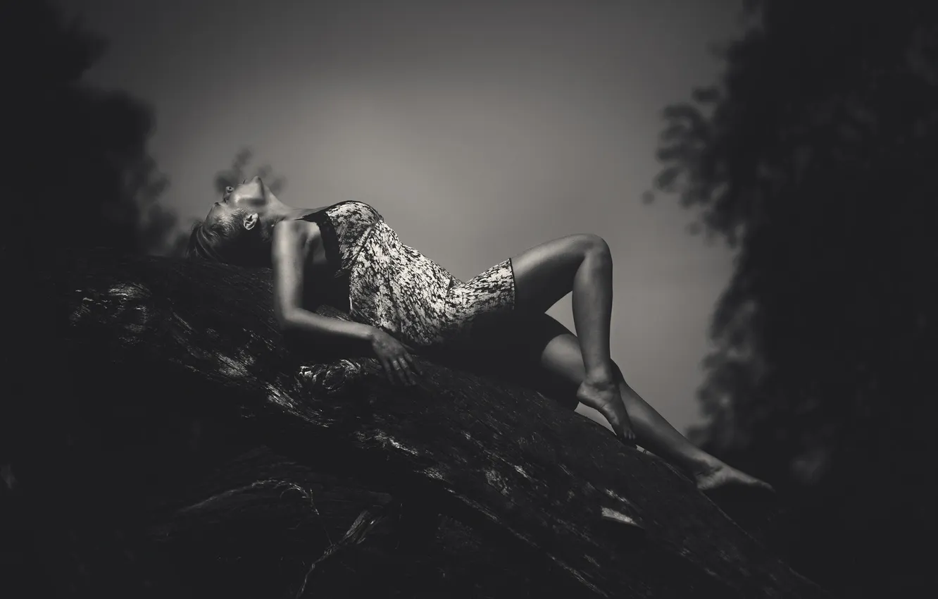 Photo wallpaper girl, lies, black and white, log