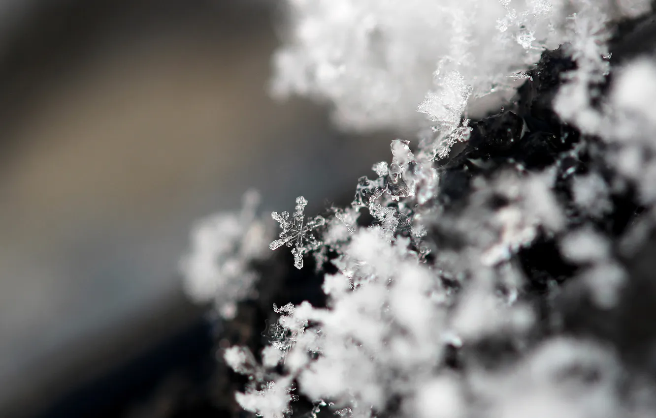 Photo wallpaper frost, macro, snowflakes, crystals
