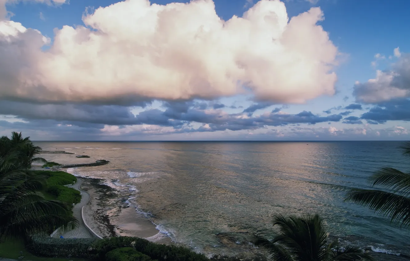 Photo wallpaper sea, wave, the sky, clouds, landscape, palm trees, shore