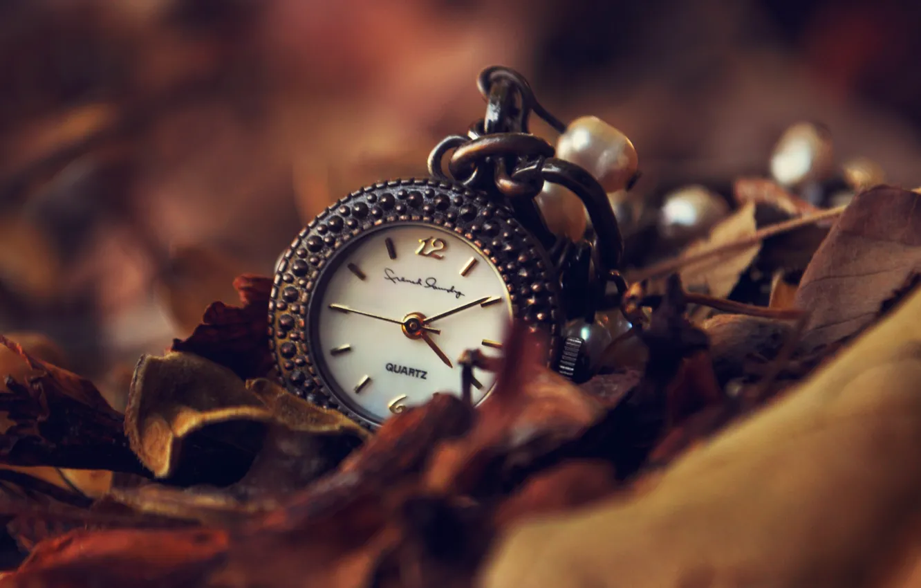 Photo wallpaper autumn, leaves, arrows, watch, dial, suspension
