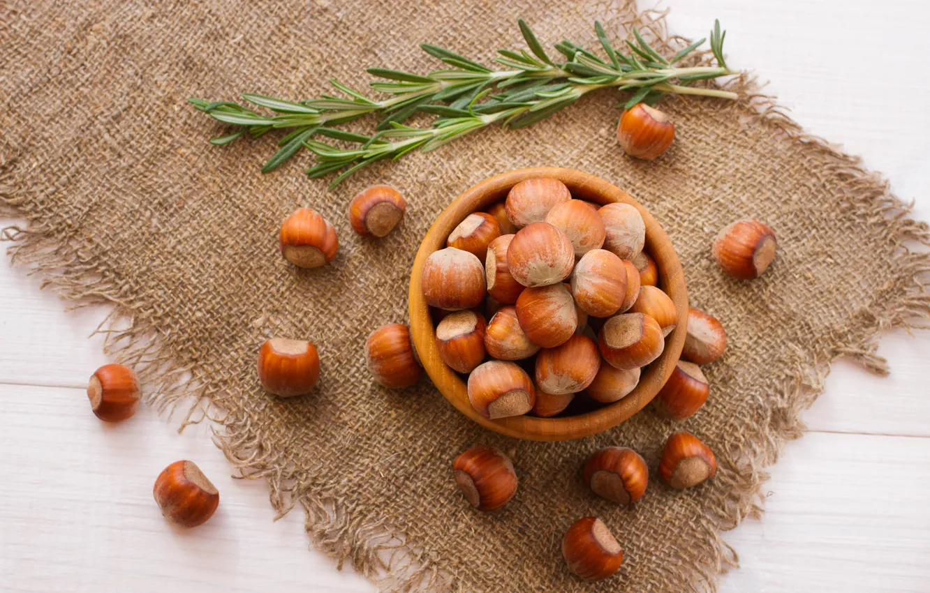 Photo wallpaper sprig, nuts, hazelnuts, forest