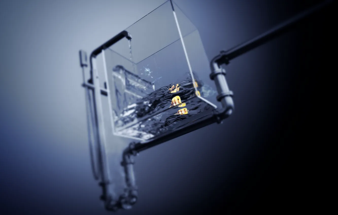 Photo wallpaper fish, crane