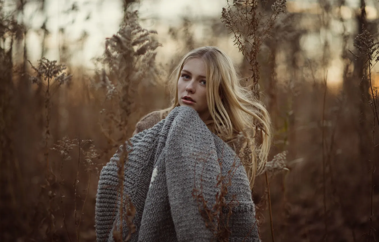 Photo wallpaper freckles, sweater, Jesse Duke, Annika