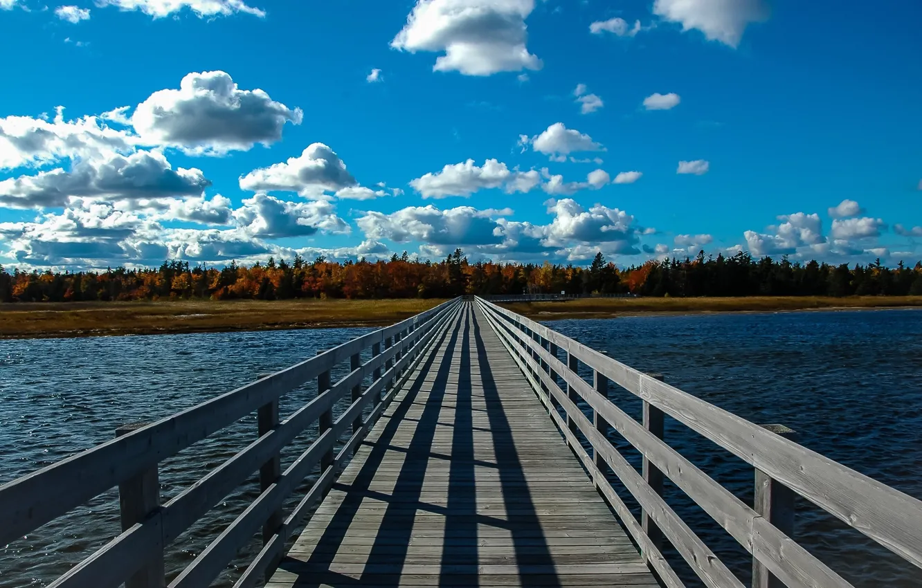 Photo wallpaper forest, landscape, river, beauty, space, forest, river, landscape