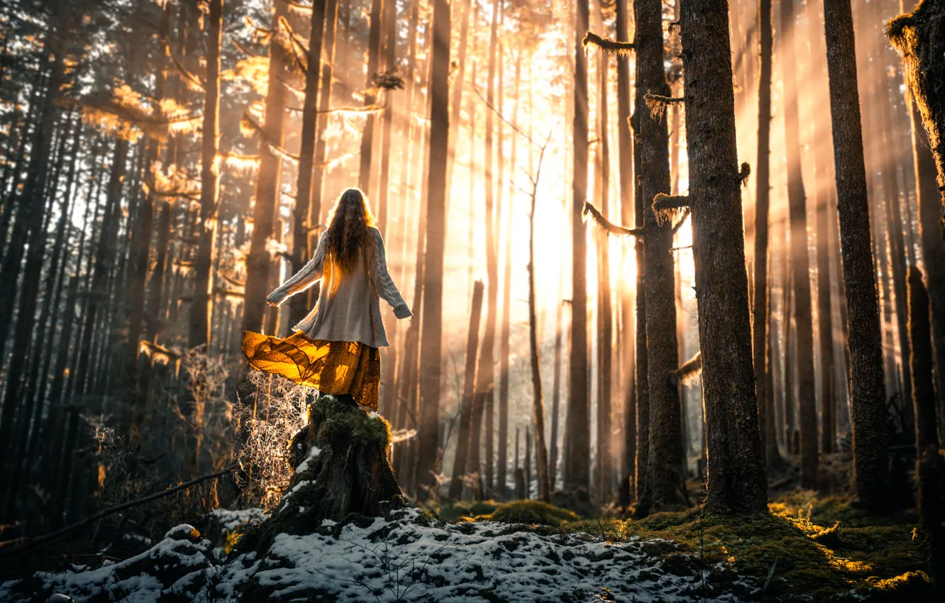 Photo wallpaper forest, girl, the sun, snow, Lizzy Gadd