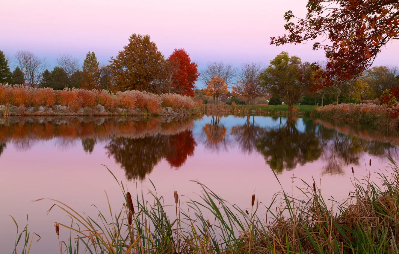 Photo wallpaper autumn, the sky, grass, trees, pond