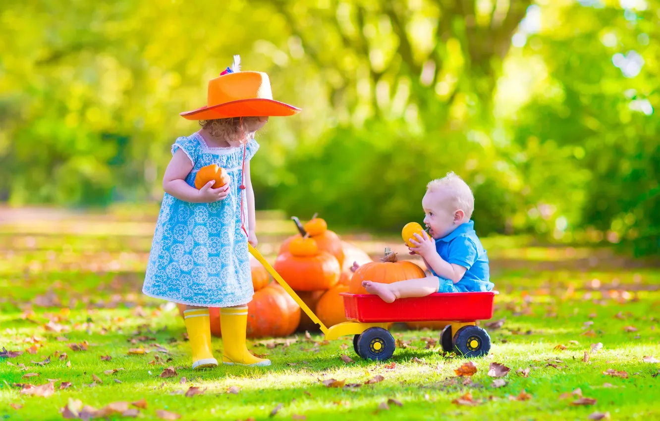 Photo wallpaper autumn, boy, girl, pumpkin, of priod