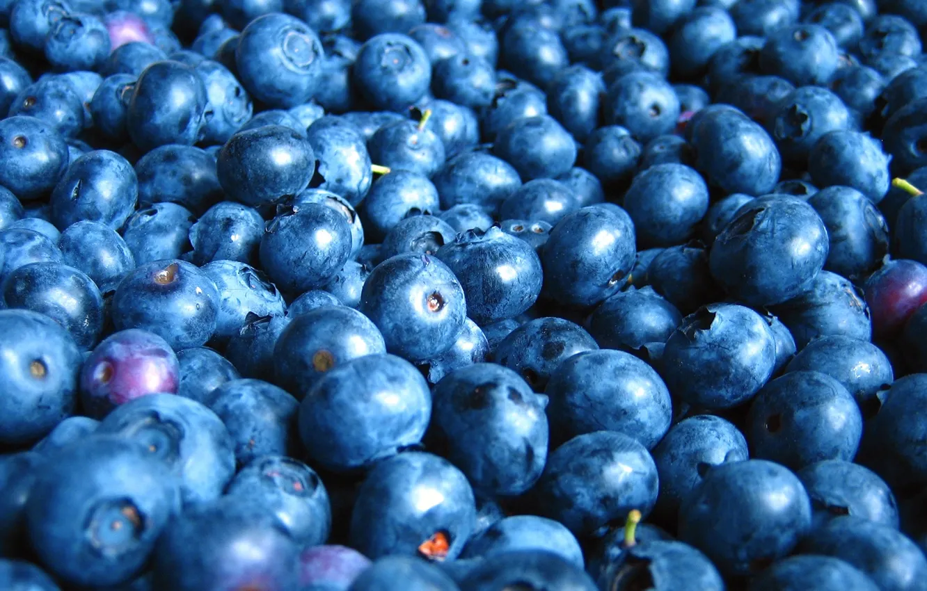 Photo wallpaper berry, food, blueberry