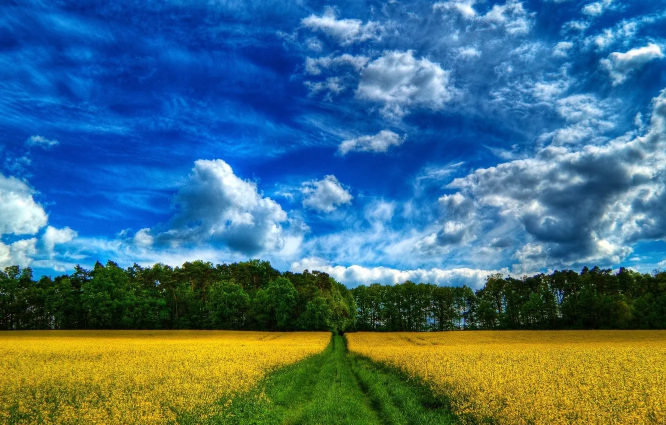 Photo wallpaper wallpaper, nature, farm