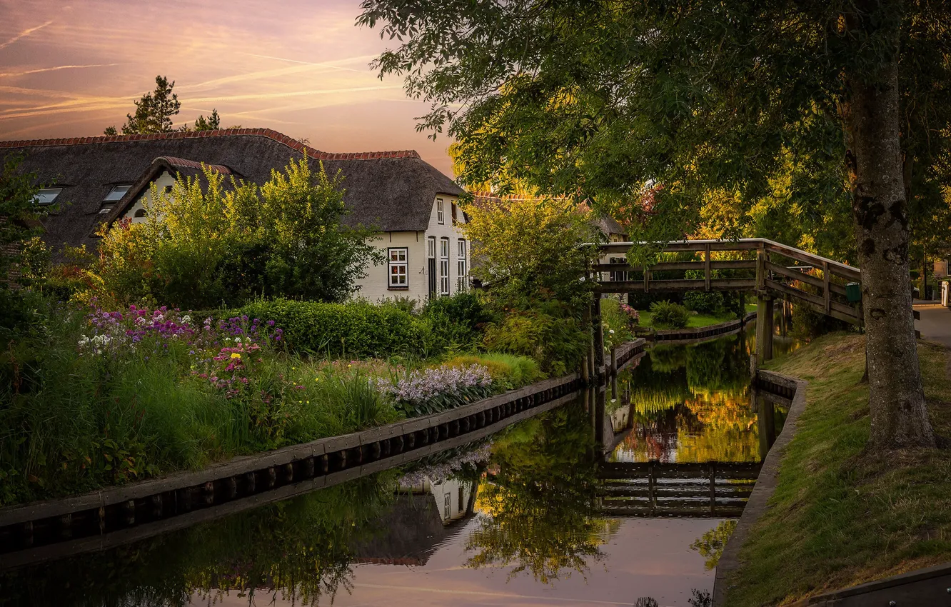 Photo wallpaper summer, the sky, clouds, trees, landscape, sunset, flowers, branches