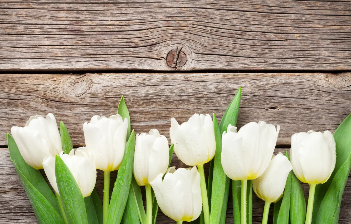 Photo wallpaper flowers, bouquet, tulips, white, wood, flowers, tulips, spring