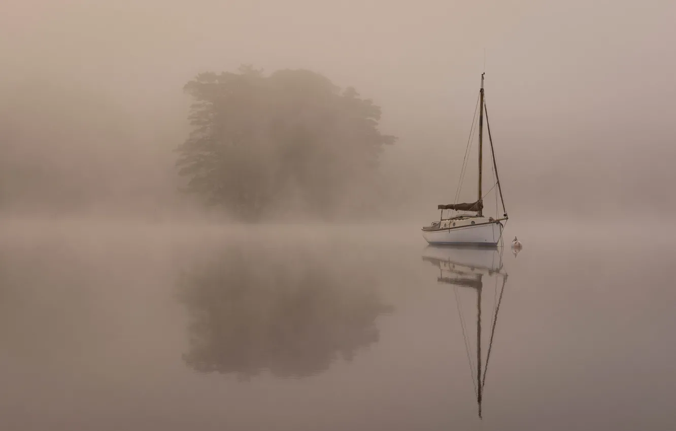 Photo wallpaper fog, lake, boat, morning, yacht
