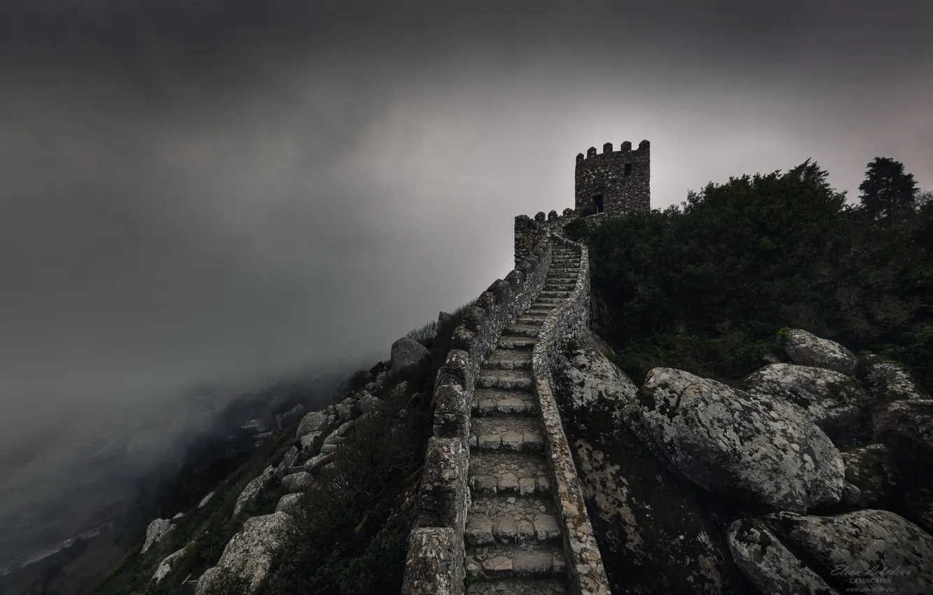 Photo wallpaper castle, overcast, hills, tower, ladder, stage, ruins