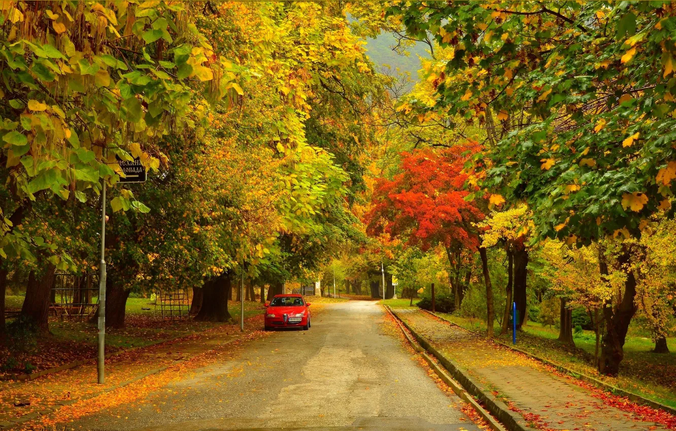 Photo wallpaper Road, Autumn, Trees, Street, Fall, Foliage, Autumn, Street