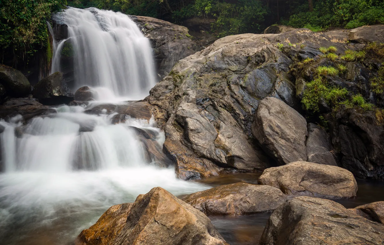 Photo wallpaper nature, waterfall, jungle, India, Kerala
