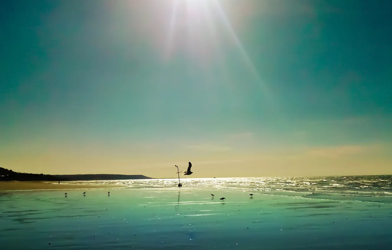 Photo wallpaper sea, the sky, the sun, rays, mountains, bird
