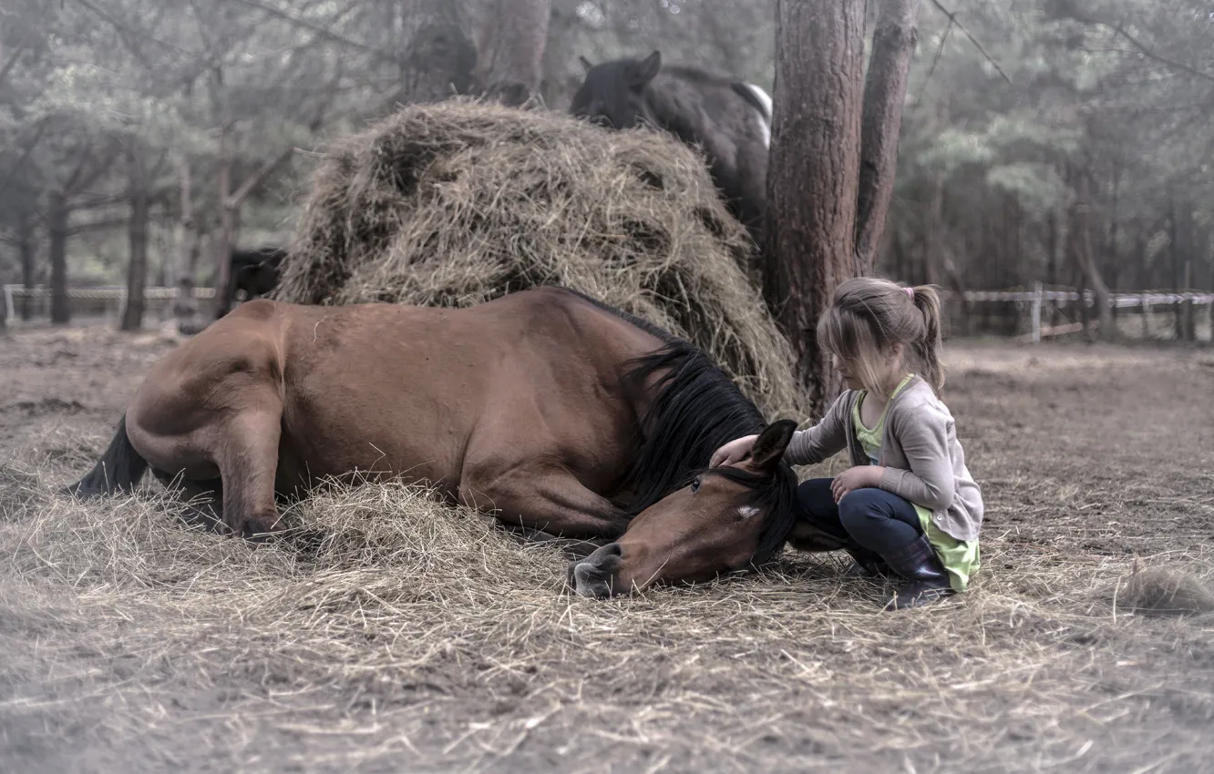 Photo wallpaper nature, horse, girl